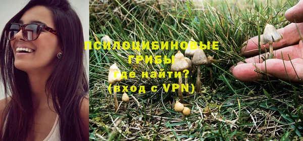 МДПВ Заводоуковск