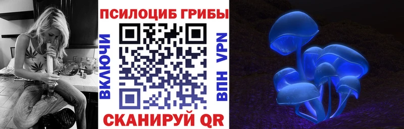 Купить  Жуковский  Псилоцибиновые грибы Psilocybine cubensis 