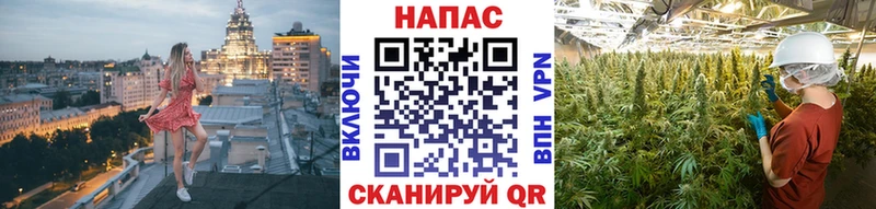 Конопля марихуана Жуковский
